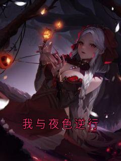 我与夜色逆行