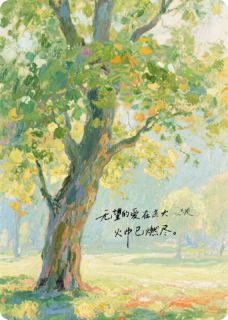砚边烬