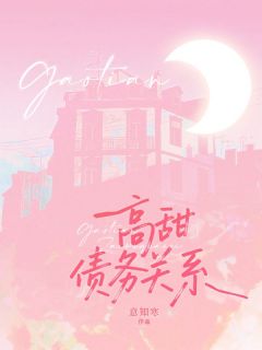 高甜债务关系