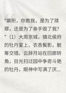 云辞月