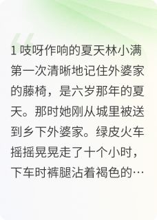 老藤椅上的时光