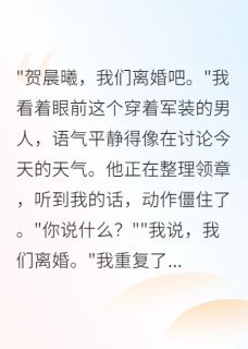 重生后离婚，军区首长求我回头