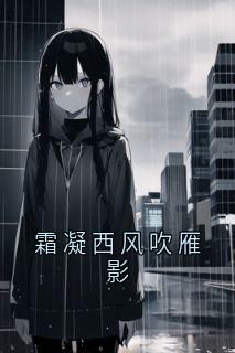 霜凝西风吹雁影