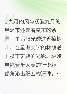 夏夜晚风与未读消息