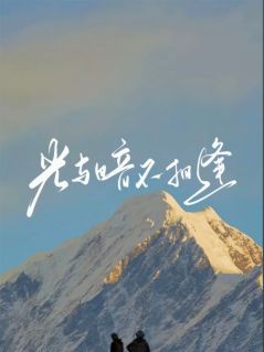 热搜之外，槐花正开
