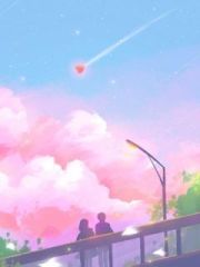 妻子全国观鸟，我摔了相机直接离婚