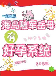 海岛随军岳母有好孕系统